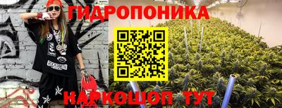 шишки Краснодар