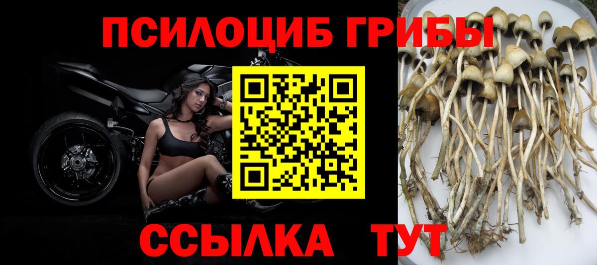 Галлюциногенные грибы MAGIC MUSHROOMS Камышлов