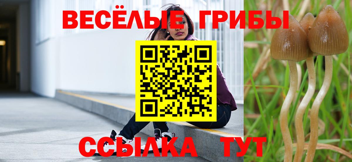 Камышлов  Галлюциногенные грибы мухоморы  Вход с VPN 