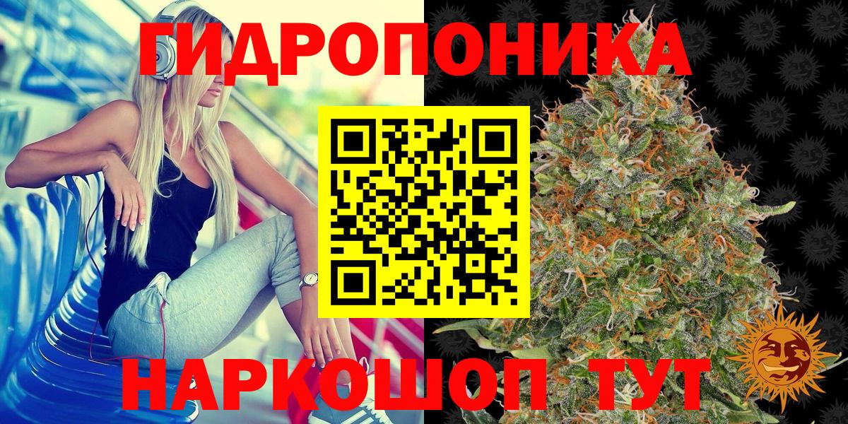 Марихуана OG Kush  Вход с VPN  Каннабис AK-47  Камышлов  Шишки марихуана AK-47 